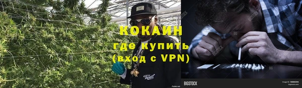 соль ск Балабаново