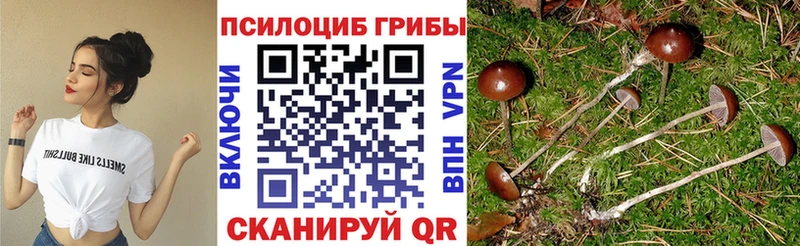 Псилоцибиновые грибы мухоморы Верея