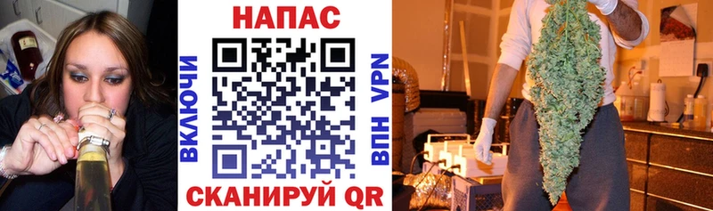 KRAKEN вход  Верея  Каннабис тримм 